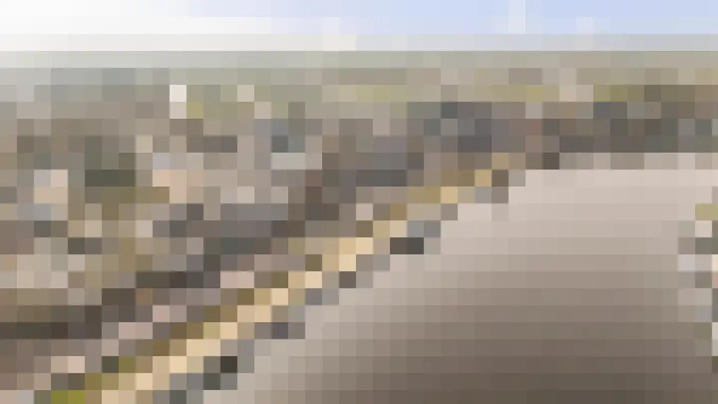 Zaanweg 66 H Wormerveer thumbnail 22