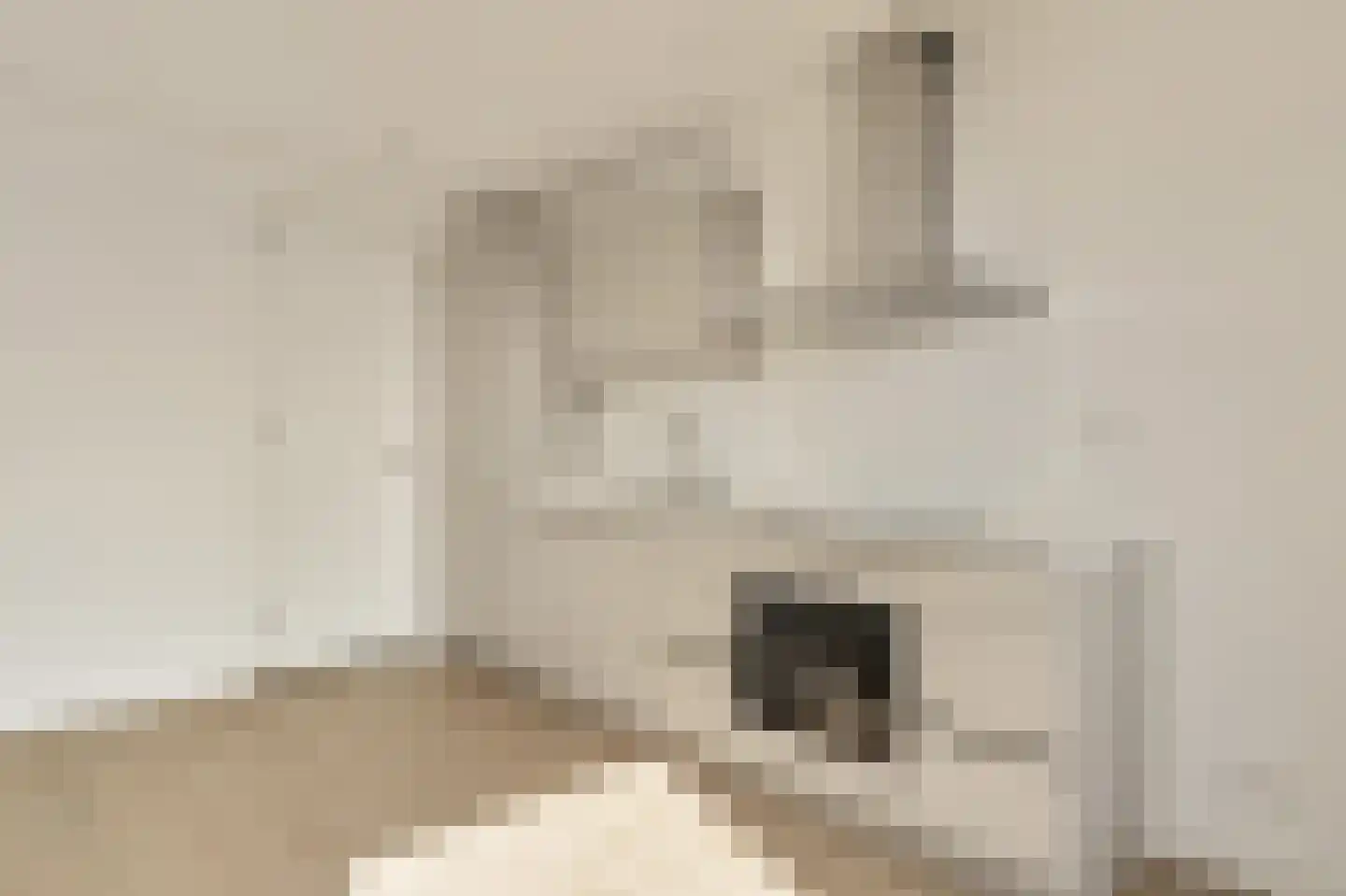 Zaanweg 66 H Wormerveer thumbnail 5