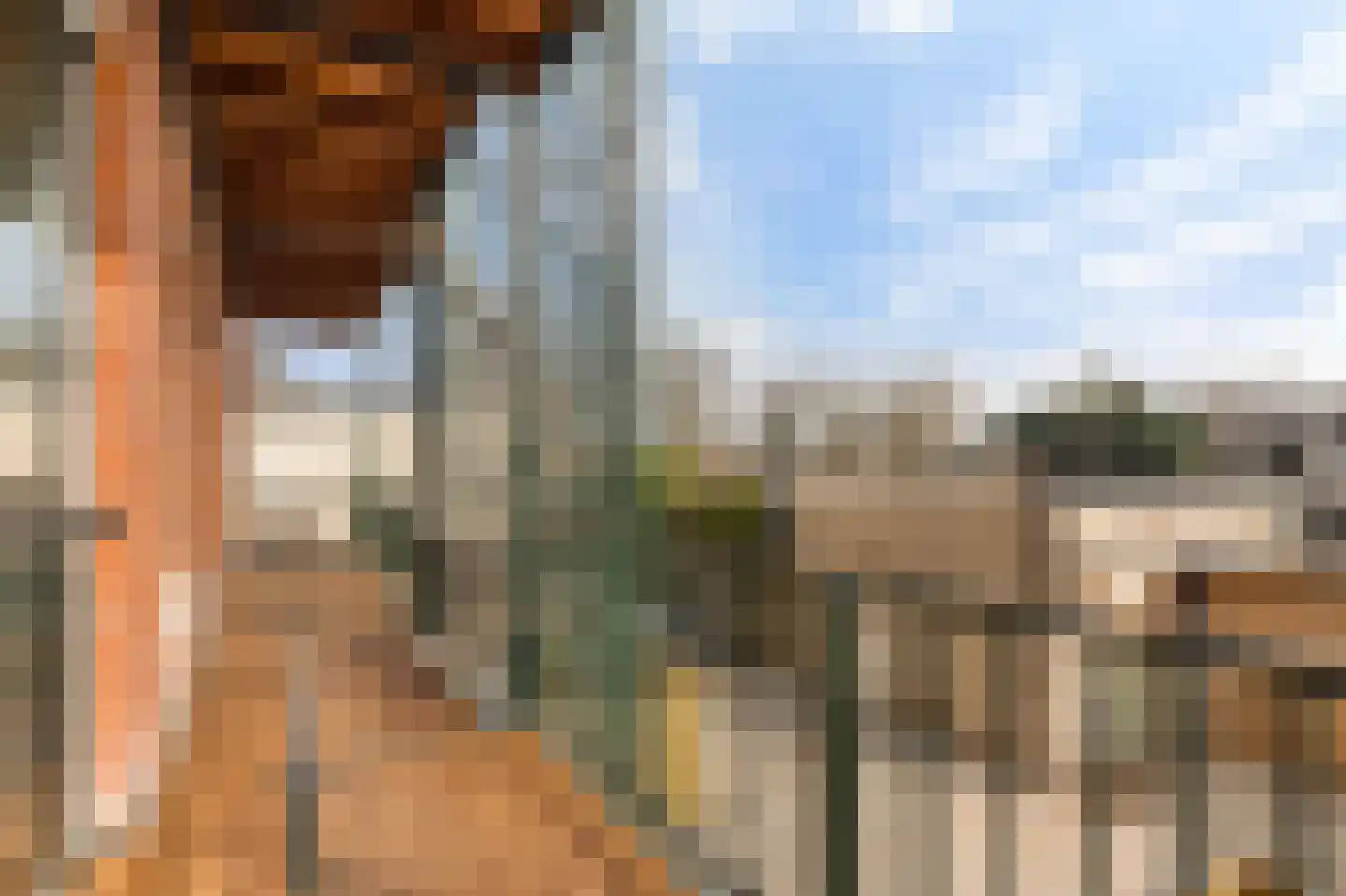 Zaanweg 67 C Wormerveer thumbnail 13