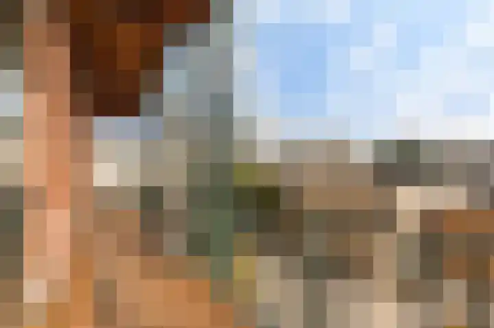 Zaanweg 67 C Wormerveer thumbnail 13