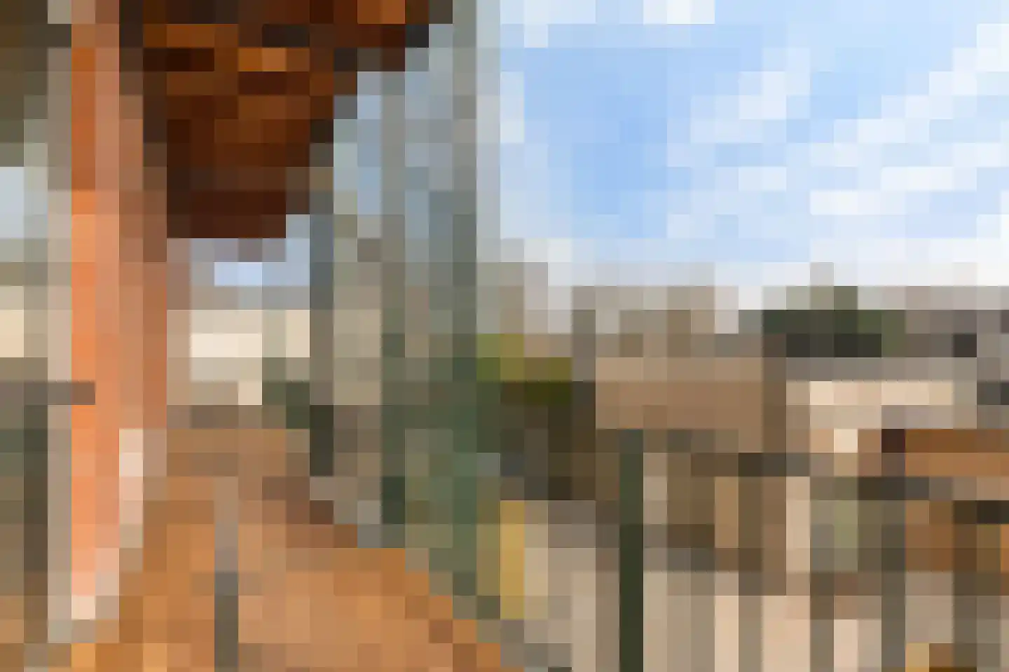 Zaanweg 67 C Wormerveer thumbnail 13