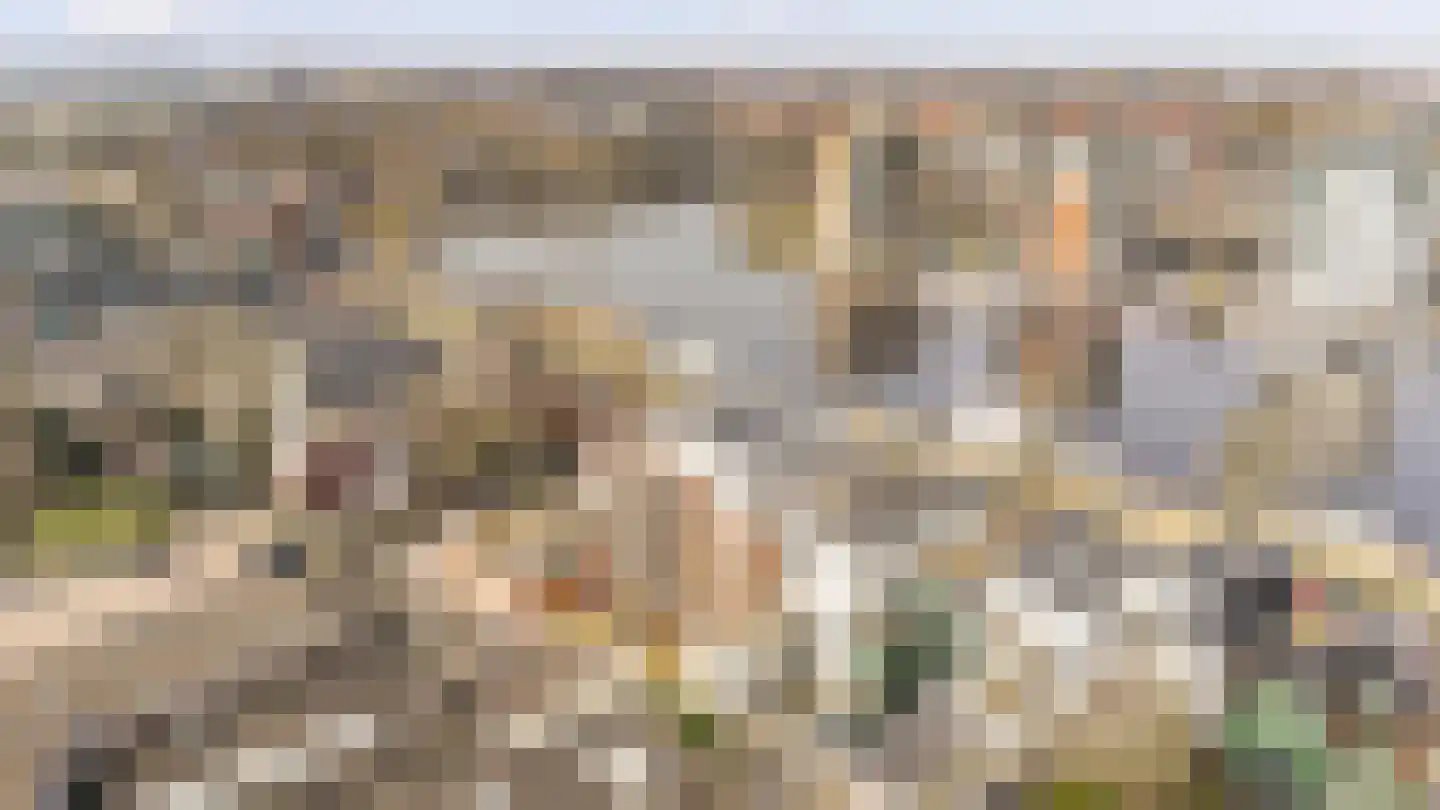 Zaanweg 67 C Wormerveer thumbnail 16