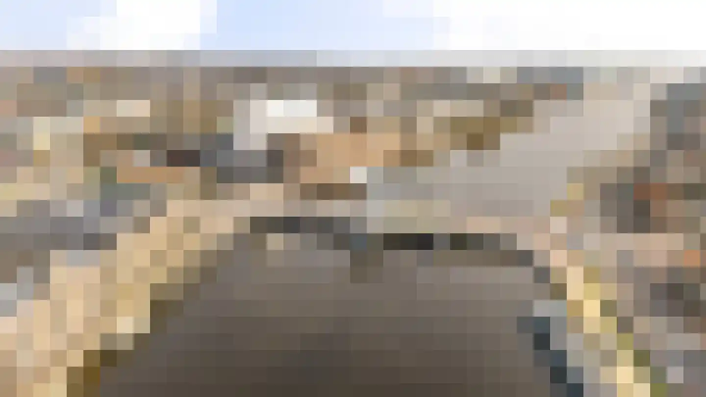 Zaanweg 67 C Wormerveer thumbnail 21
