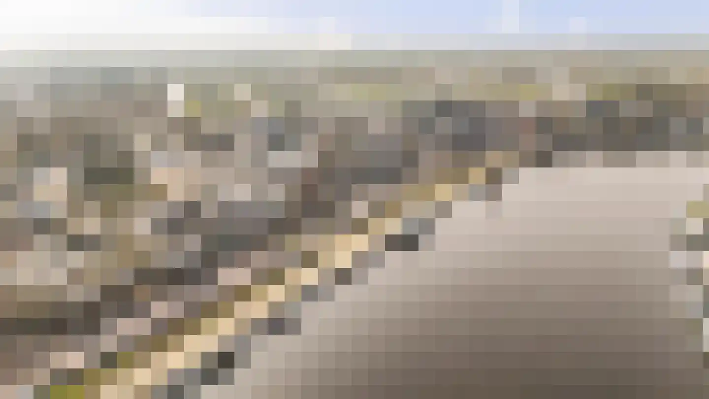 Zaanweg 67 C Wormerveer thumbnail 22