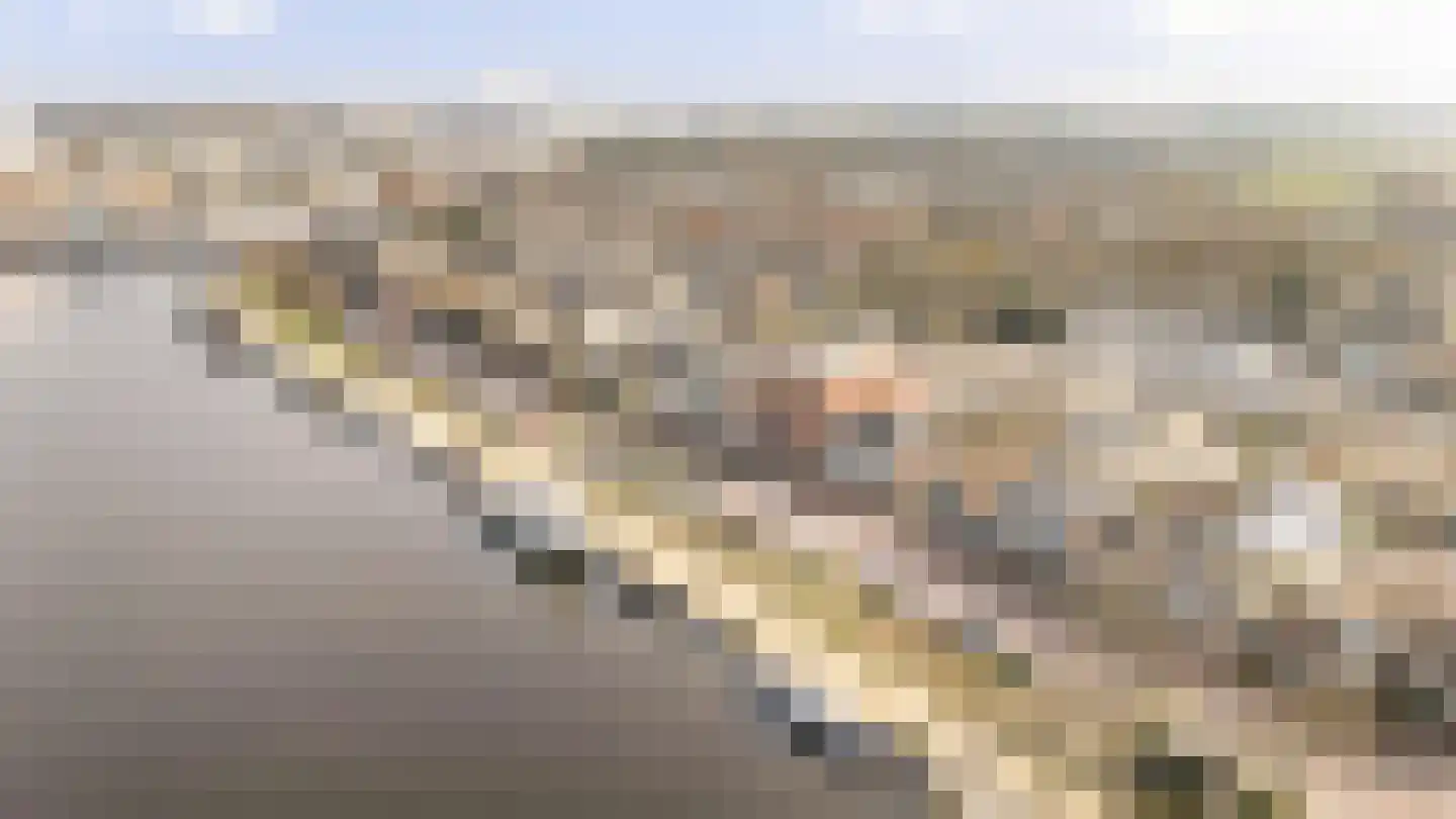 Zaanweg 67 C Wormerveer thumbnail 23