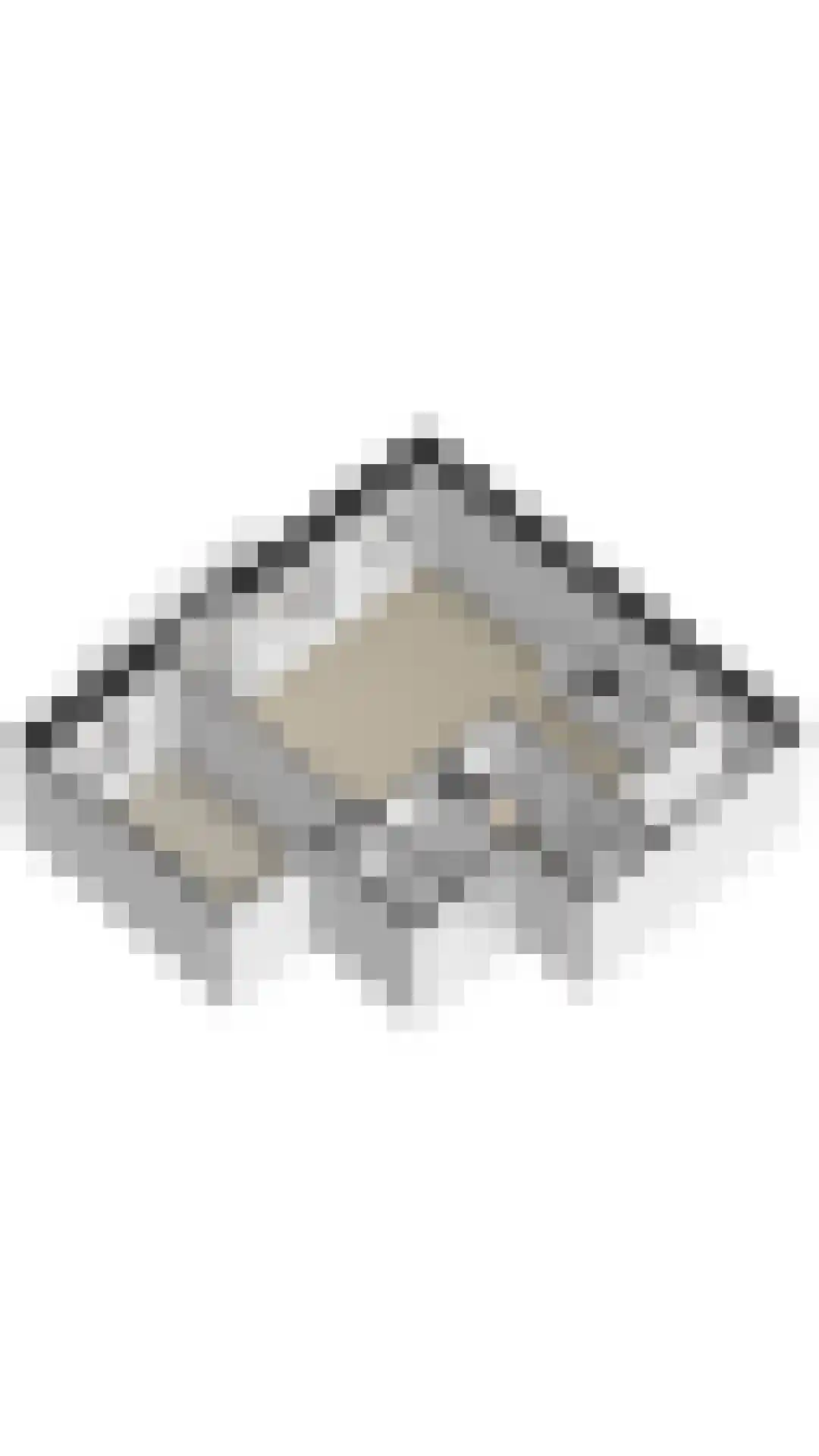 Zaanweg 67 C Wormerveer thumbnail 30