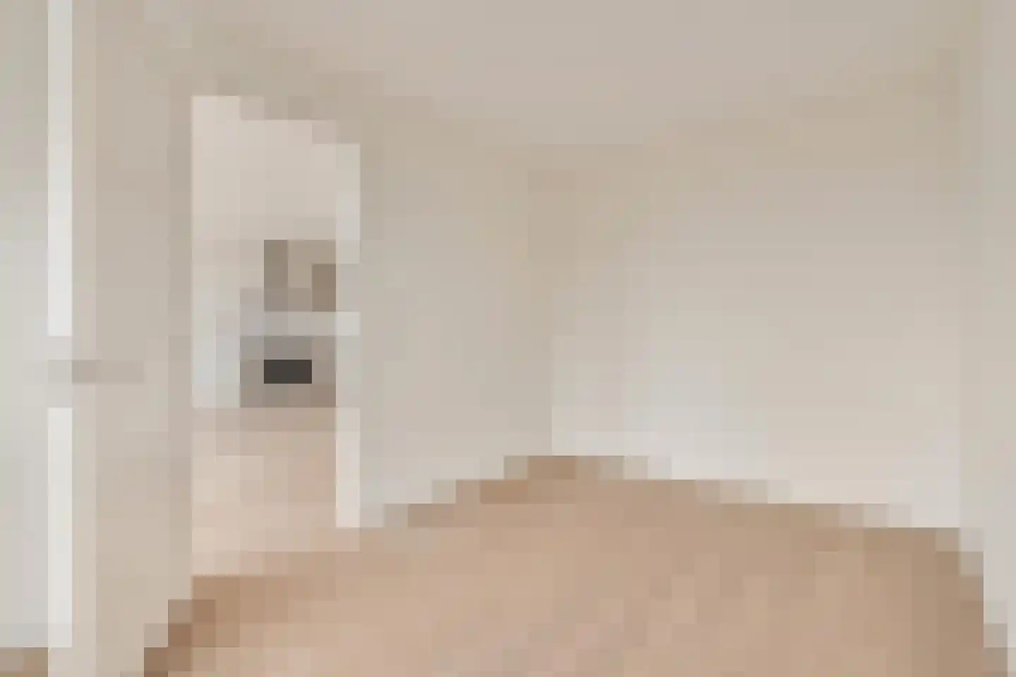 Zaanweg 67 C Wormerveer thumbnail 8
