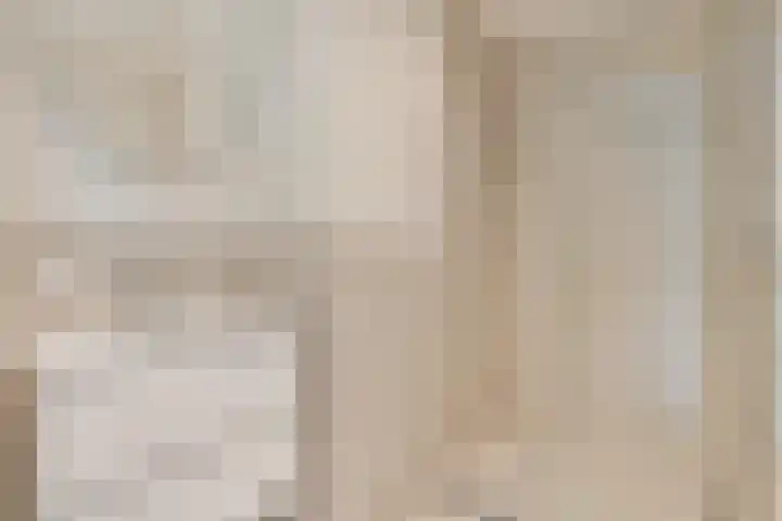 Zaanweg 67 D Wormerveer thumbnail 13