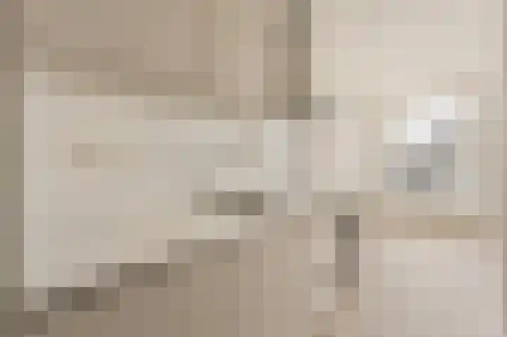 Zaanweg 67 D Wormerveer thumbnail 8