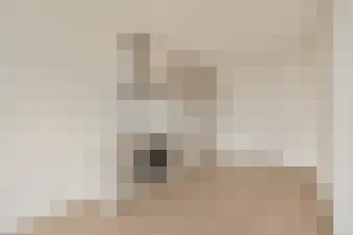 Zaanweg 67 E Wormerveer thumbnail 6