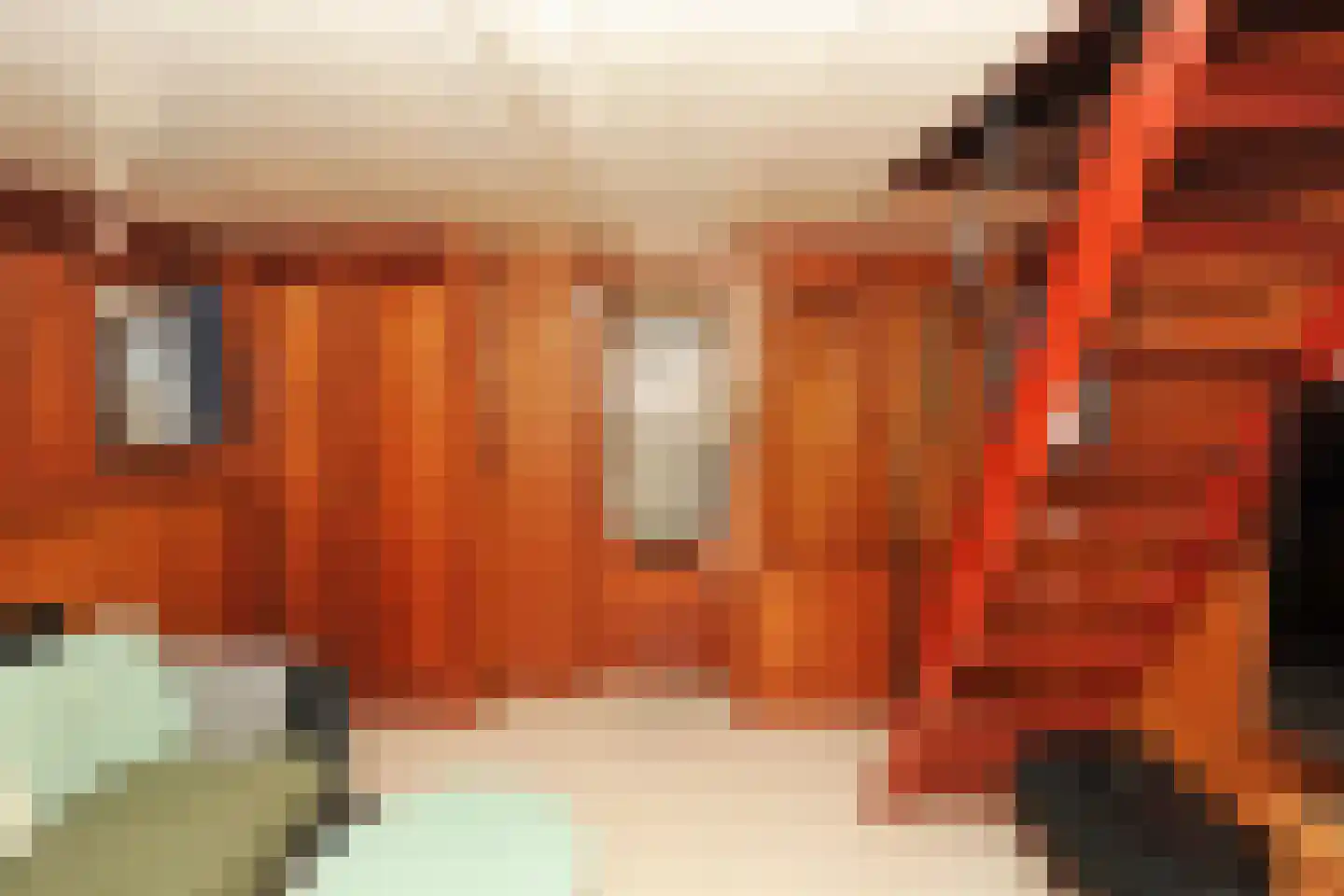 Zaanweg 67 ROOD Wormerveer thumbnail 13