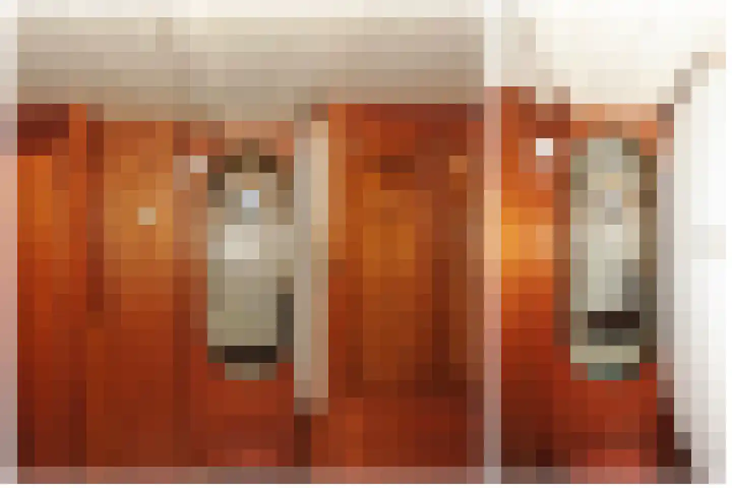 Zaanweg 67 ROOD Wormerveer thumbnail 20