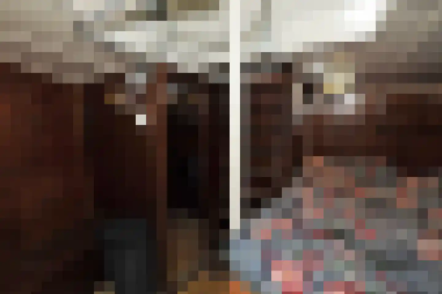 Zaanweg 67 ROOD Wormerveer thumbnail 22