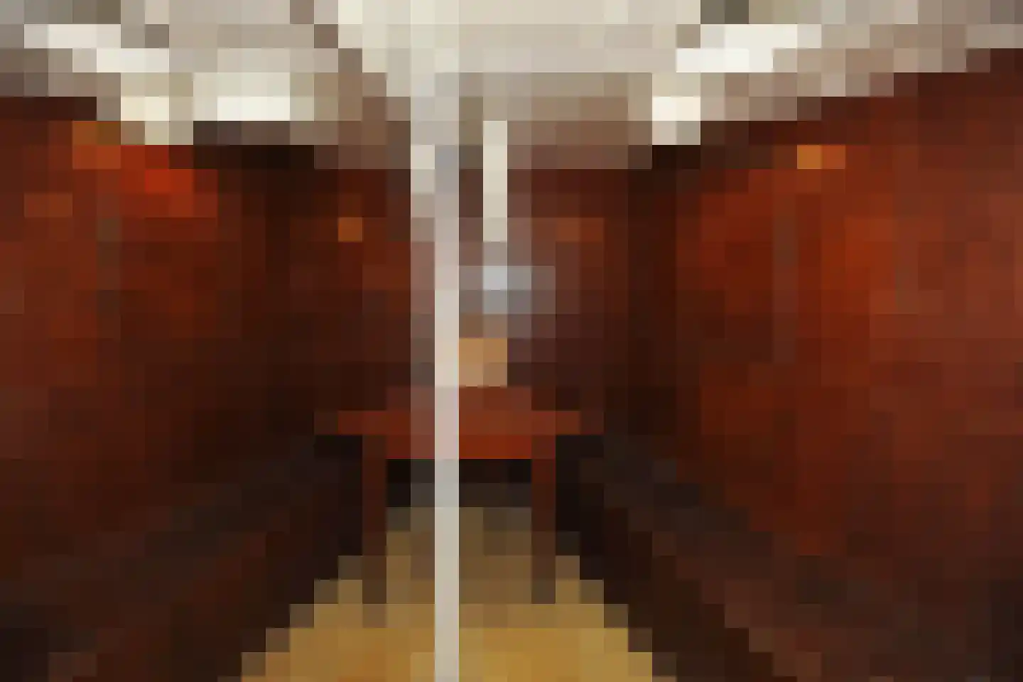 Zaanweg 67 ROOD Wormerveer thumbnail 23