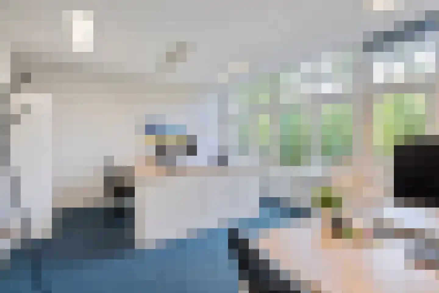 Zaanweg 75 Wormerveer thumbnail 16