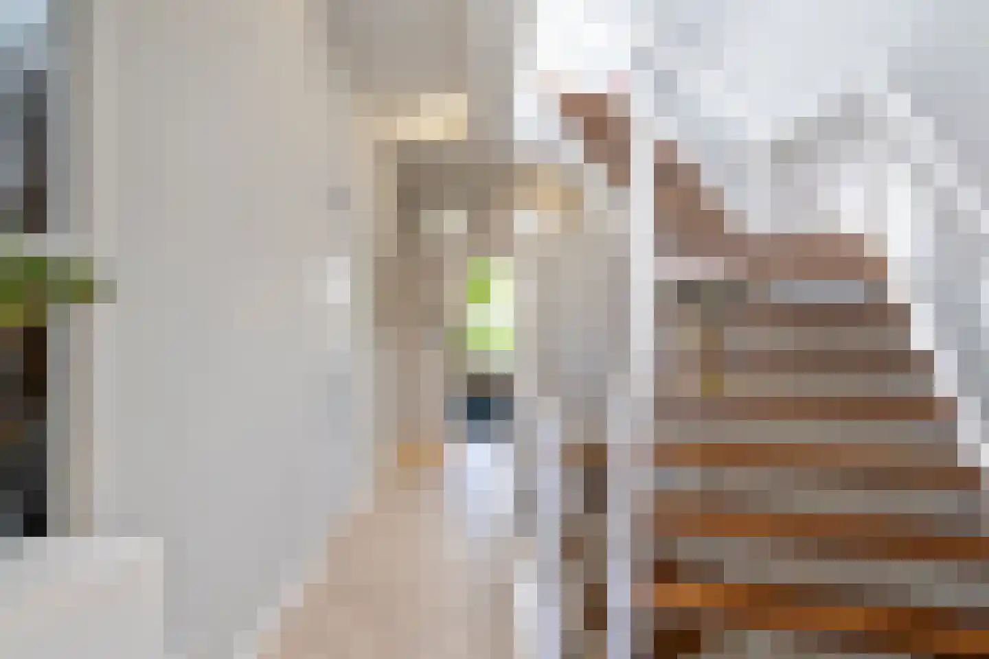 Zaanweg 75 Wormerveer thumbnail 17