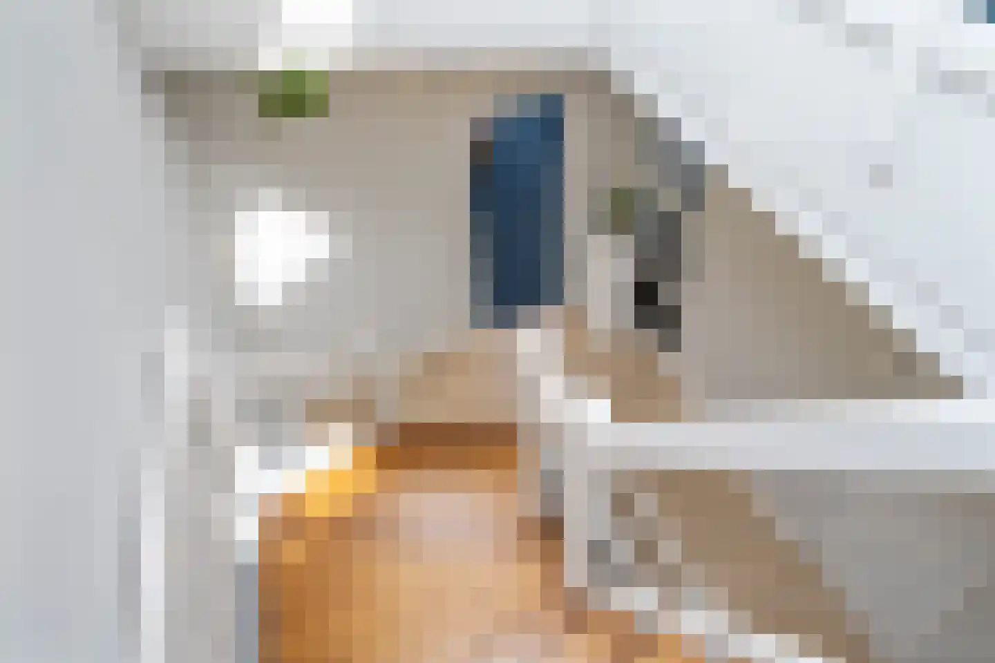 Zaanweg 75 Wormerveer thumbnail 25