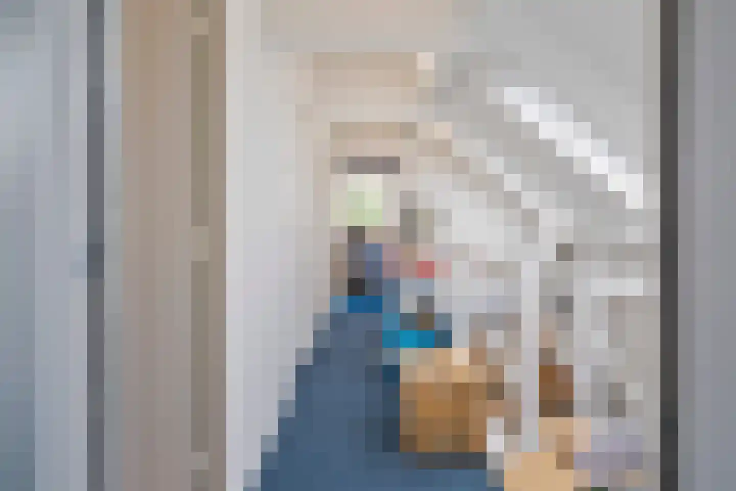 Zaanweg 75 Wormerveer thumbnail 28