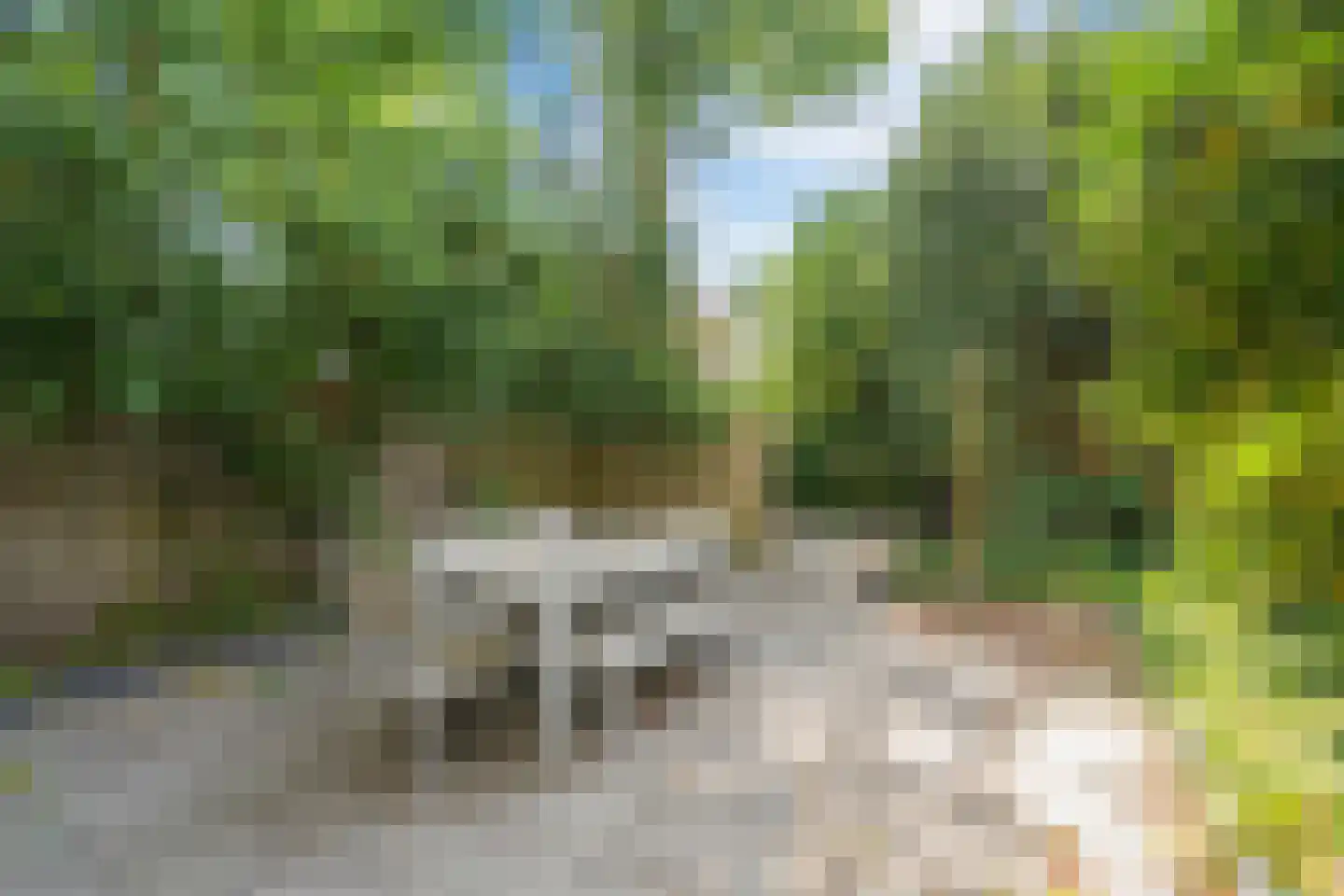 Zaanweg 75 Wormerveer thumbnail 33