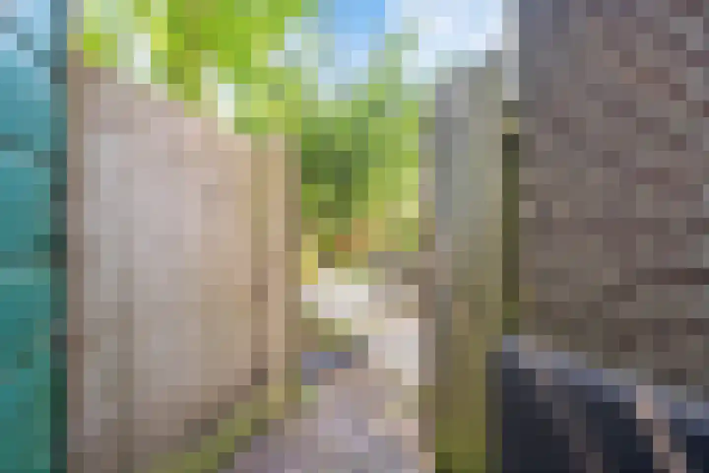 Zaanweg 75 Wormerveer thumbnail 34