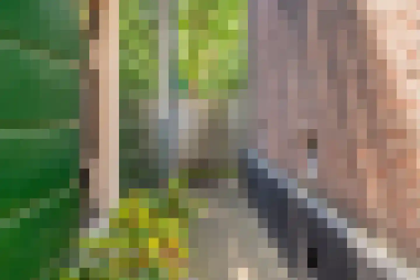 Zaanweg 75 Wormerveer thumbnail 35