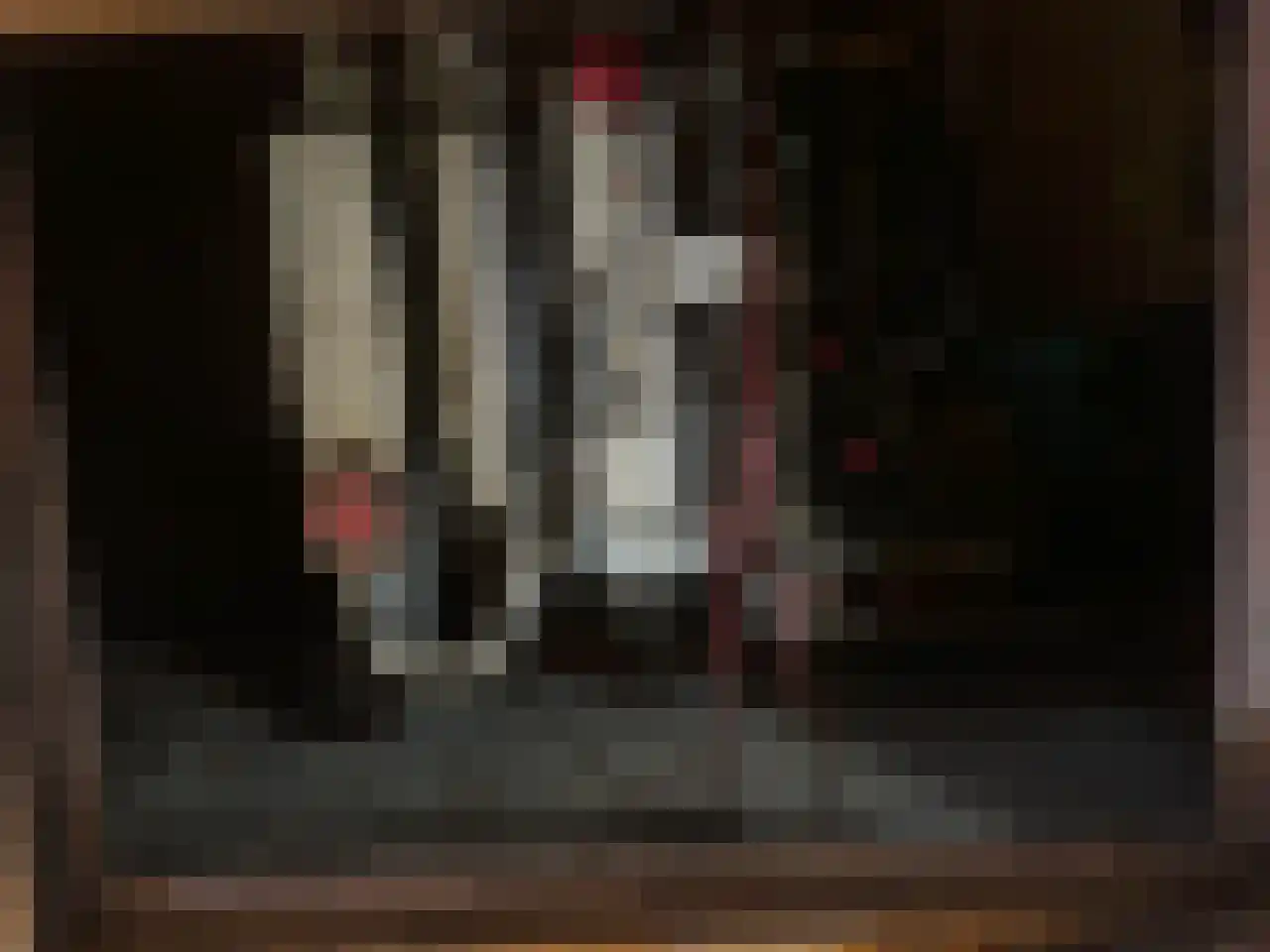 Zaanweg 76 ROOD Wormerveer thumbnail 8