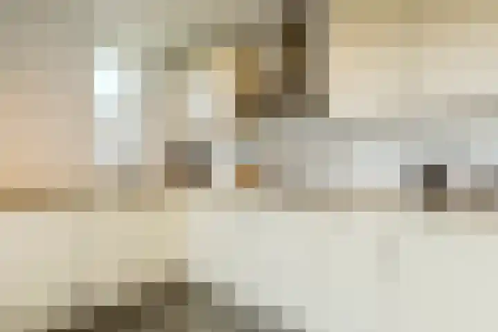 Zaaren 156 Rijen thumbnail 10