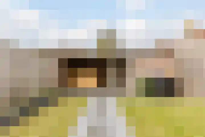 Zaaren 156 Rijen thumbnail 12