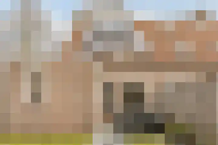 Zaaren 156 Rijen thumbnail 13
