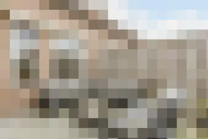 Zaaren 156 Rijen thumbnail 16