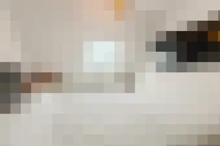 Zaaren 156 Rijen thumbnail 22