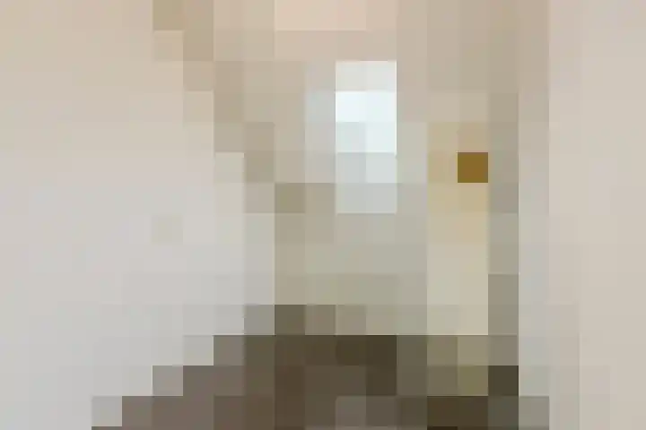 Zaaren 156 Rijen thumbnail 25