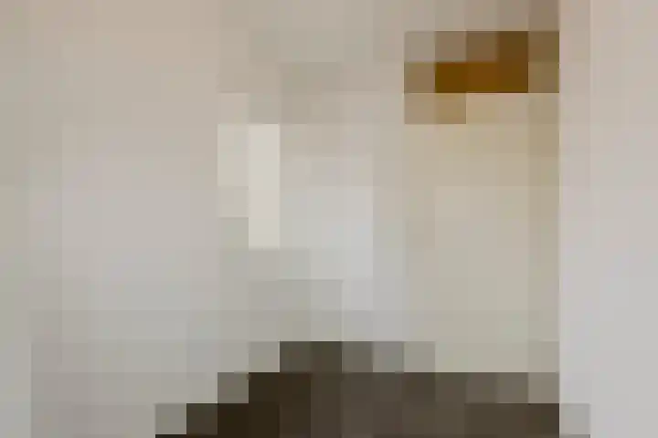 Zaaren 156 Rijen thumbnail 26