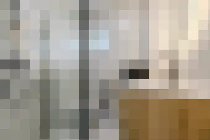 Zaaren 156 Rijen thumbnail 27