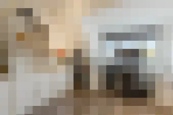 Zaaren 156 Rijen thumbnail 30