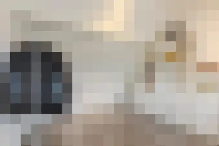 Zaaren 156 Rijen thumbnail 32