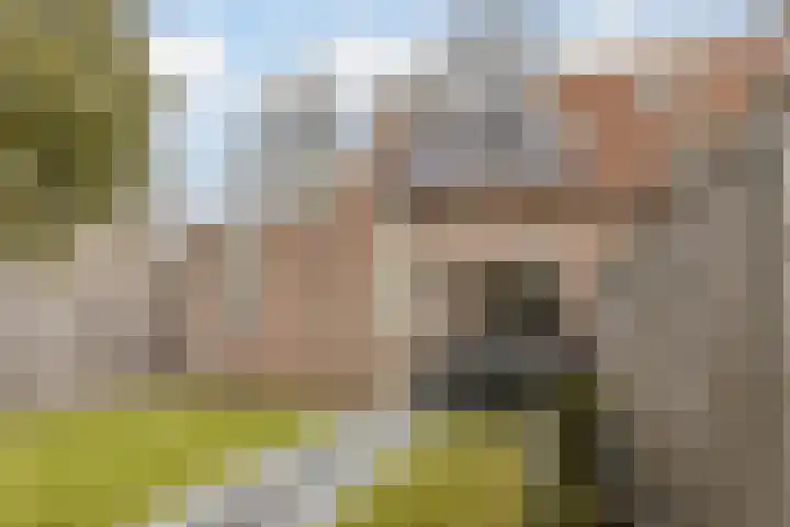 Zaaren 156 Rijen thumbnail 33