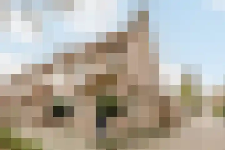Zaaren 156 Rijen thumbnail 35