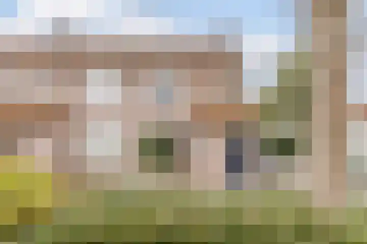 Zaaren 156 Rijen thumbnail 36