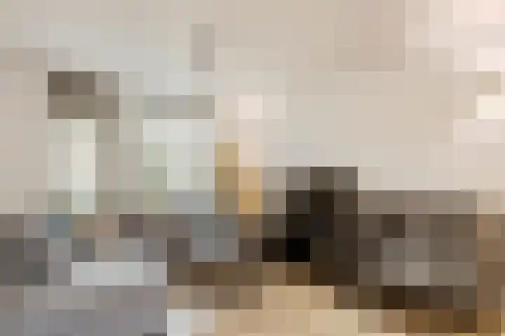 Zaaren 156 Rijen thumbnail 6