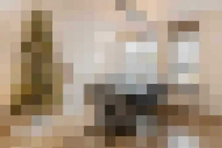 Zaaren 156 Rijen thumbnail 7
