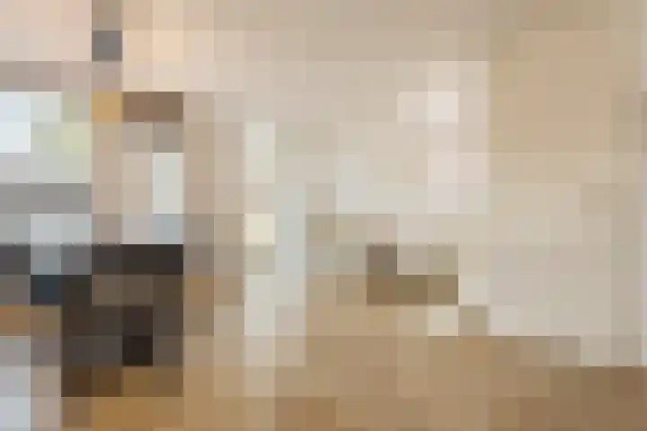 Zaaren 156 Rijen thumbnail 8