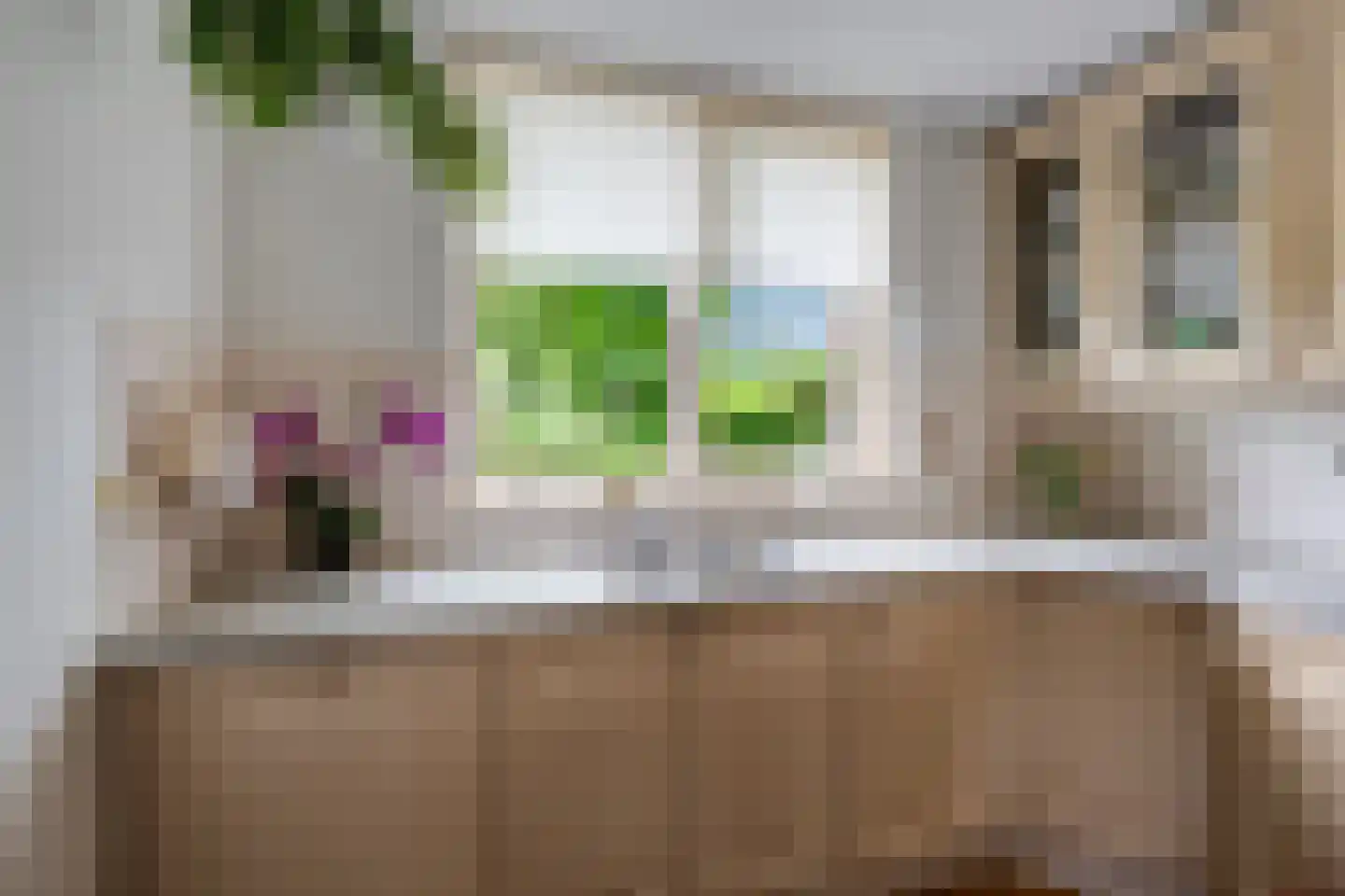 Zaaren 167 Rijen thumbnail 19