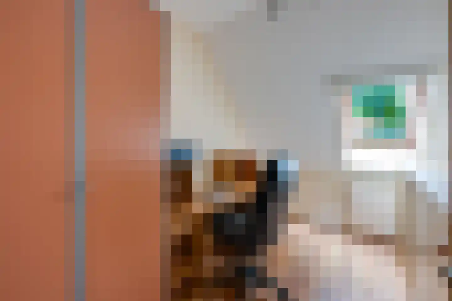 Zaaren 167 Rijen thumbnail 30