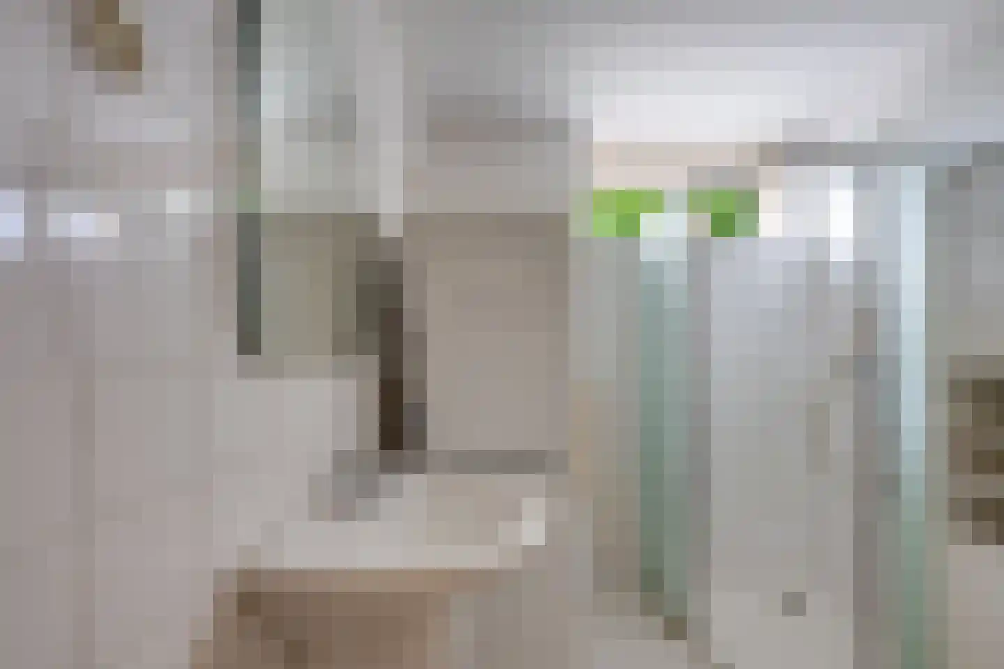 Zaaren 167 Rijen thumbnail 34