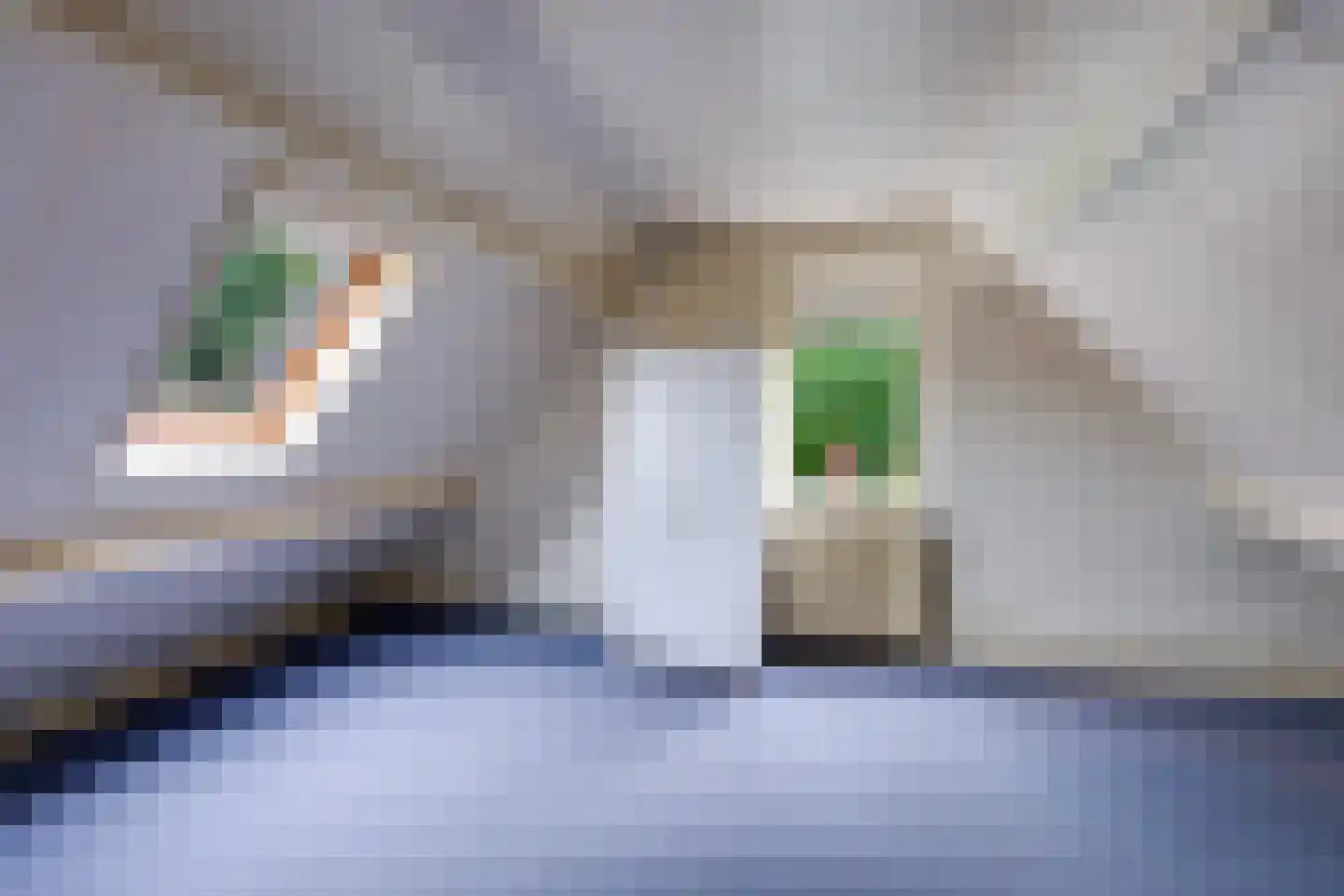 Zaaren 167 Rijen thumbnail 36