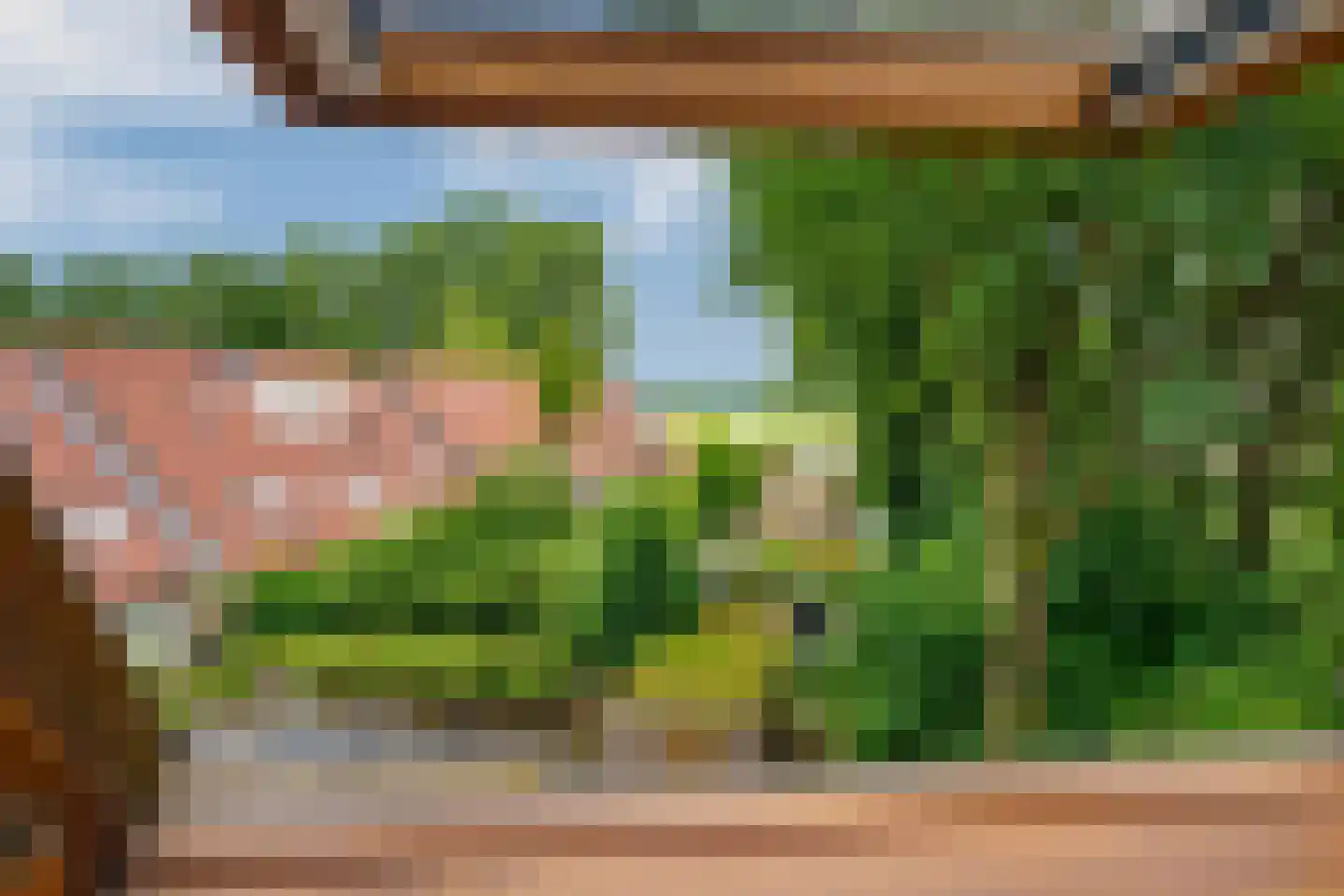 Zaaren 167 Rijen thumbnail 39