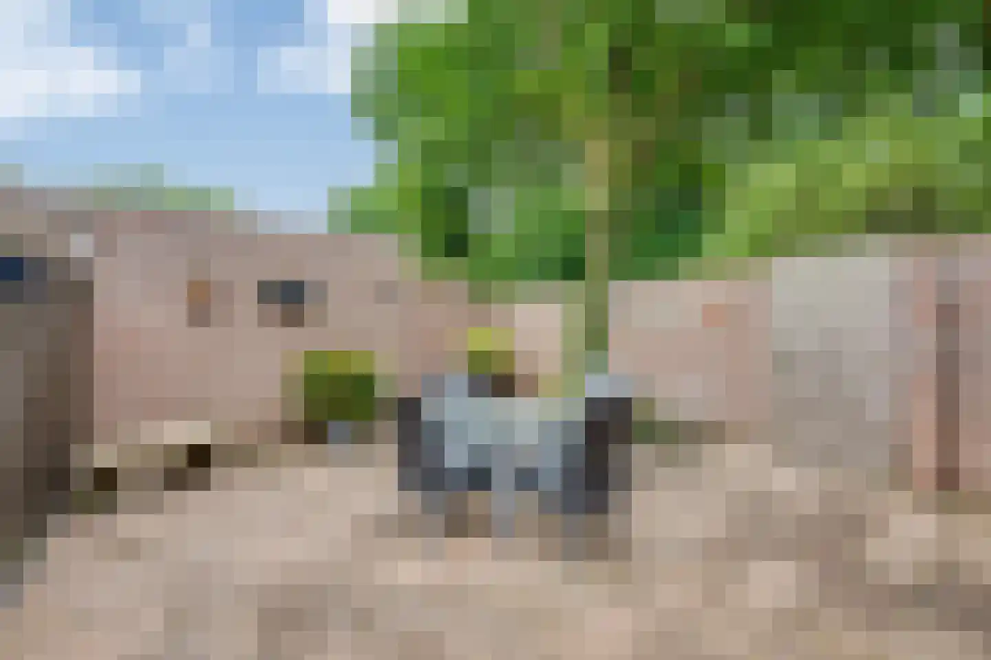Zaaren 167 Rijen thumbnail 40