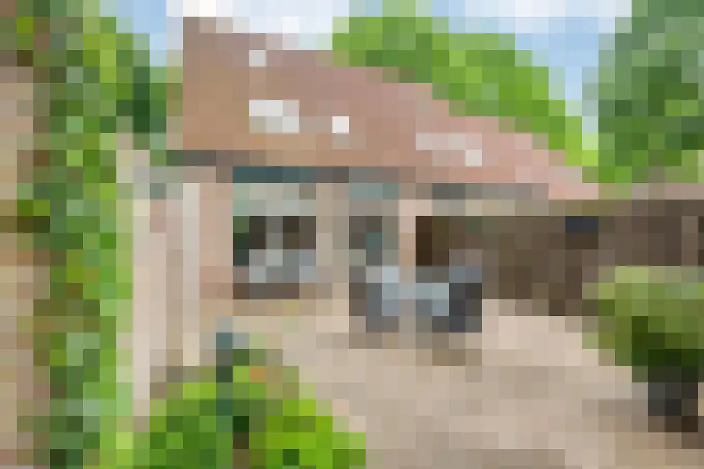 Zaaren 167 Rijen thumbnail 41