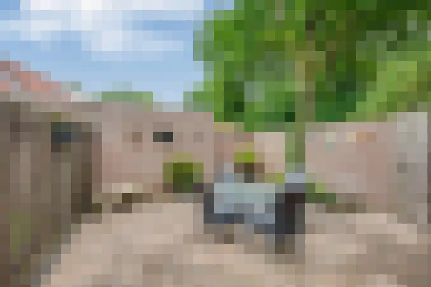 Zaaren 167 Rijen thumbnail 46